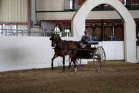 CA_Springfest19_FriPM_0243