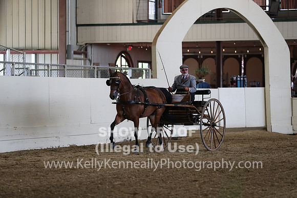 CA_Springfest19_FriPM_0243