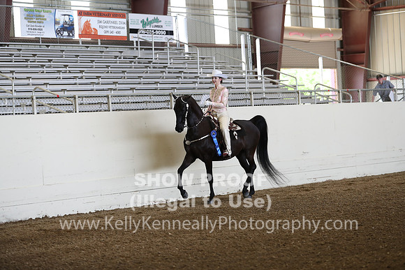 CA_Springfest19_FriPM_0041
