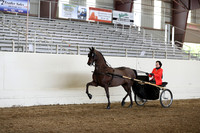 CA_Springfest19_FriPM_0289