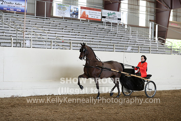 CA_Springfest19_FriPM_0289