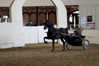 CA_Springfest19_FriPM_0291