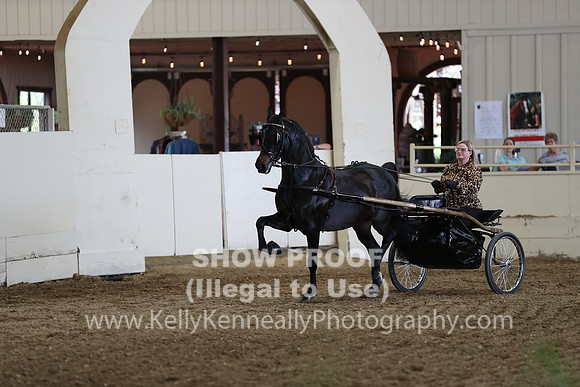 CA_Springfest19_FriPM_0291
