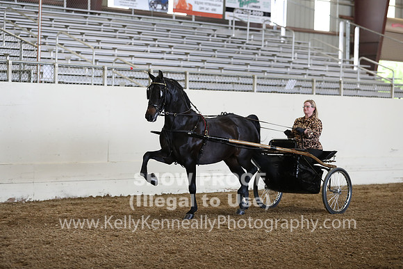 CA_Springfest19_FriPM_0293