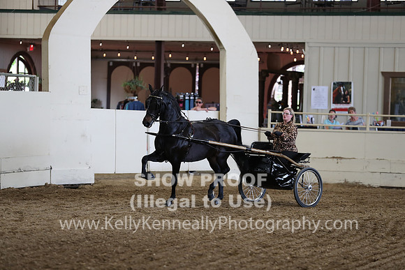 CA_Springfest19_FriPM_0296