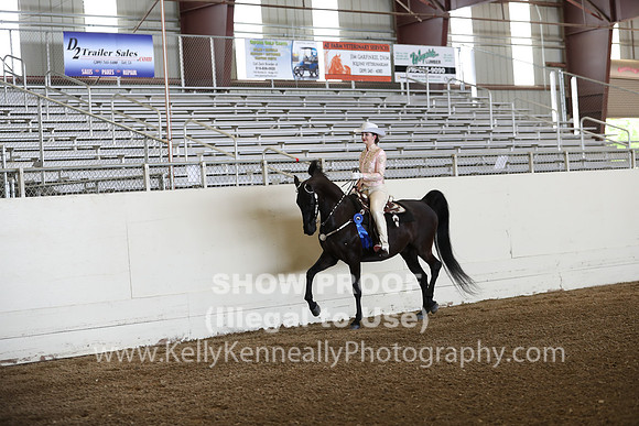CA_Springfest19_FriPM_0042