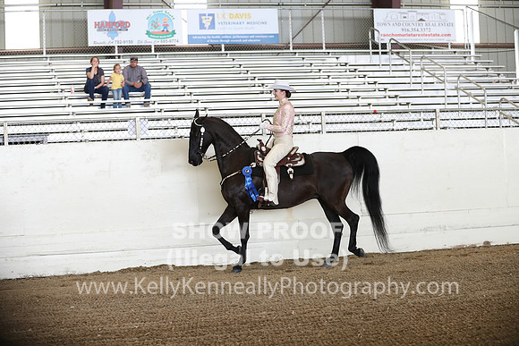 CA_Springfest19_FriPM_0046