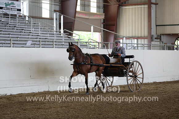 CA_Springfest19_FriPM_0244