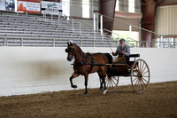 CA_Springfest19_FriPM_0245