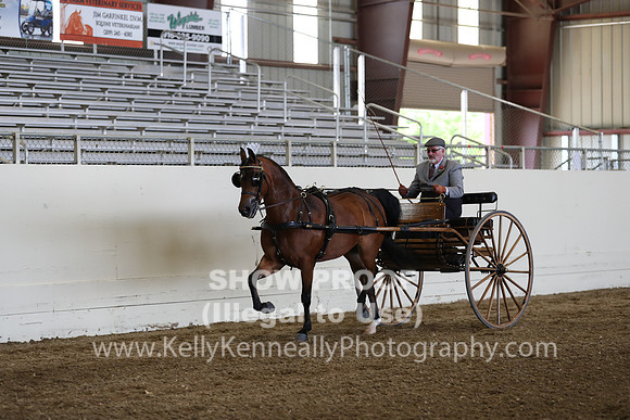 CA_Springfest19_FriPM_0245