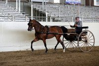 CA_Springfest19_FriPM_0246
