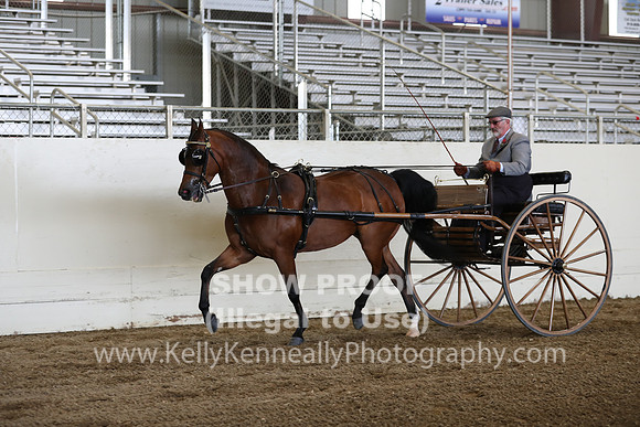 CA_Springfest19_FriPM_0246