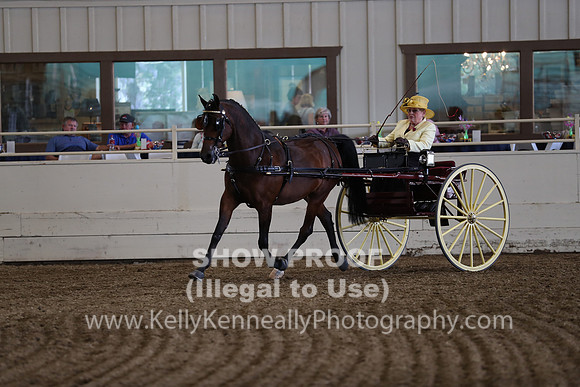 CA_Springfest19_FriPM_0247