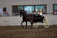 CA_Springfest19_FriPM_0248