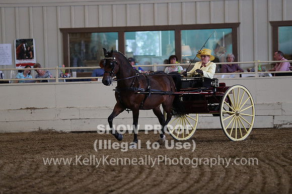 CA_Springfest19_FriPM_0248