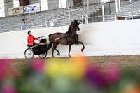 CA_Springfest19_FriPM_0298