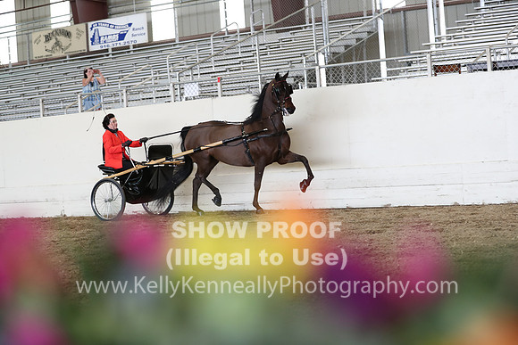 CA_Springfest19_FriPM_0298