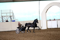 CA_Springfest19_FriPM_0301