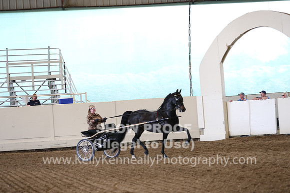 CA_Springfest19_FriPM_0301