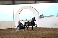 CA_Springfest19_FriPM_0302