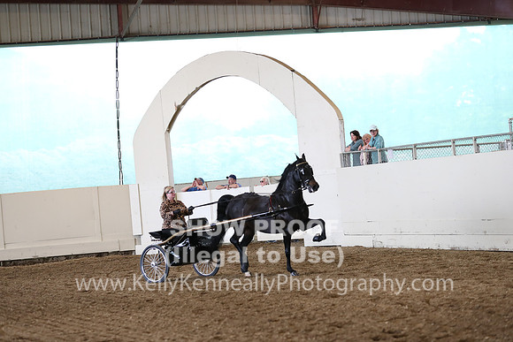 CA_Springfest19_FriPM_0302