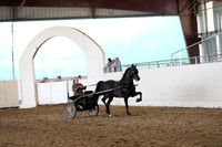 CA_Springfest19_FriPM_0303