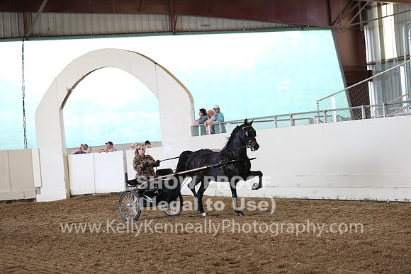 CA_Springfest19_FriPM_0303