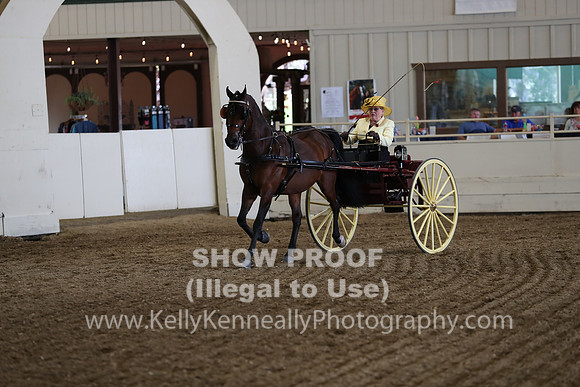 CA_Springfest19_FriPM_0249
