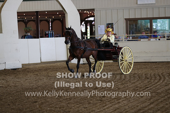 CA_Springfest19_FriPM_0250