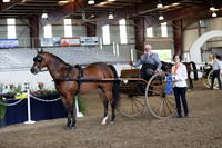 CA_Springfest19_FriPM_0253
