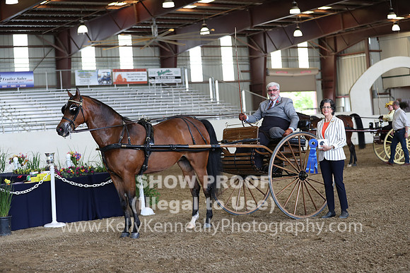 CA_Springfest19_FriPM_0253