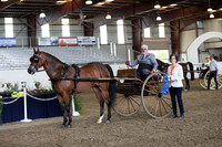 CA_Springfest19_FriPM_0254