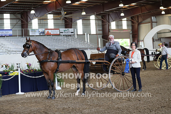CA_Springfest19_FriPM_0254