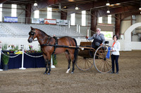CA_Springfest19_FriPM_0255
