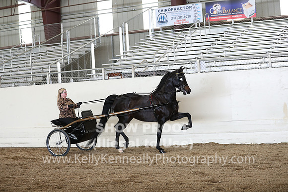 CA_Springfest19_FriPM_0306