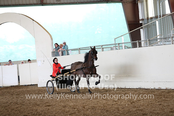CA_Springfest19_FriPM_0308