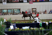 CA_Springfest19_FriPM_0314
