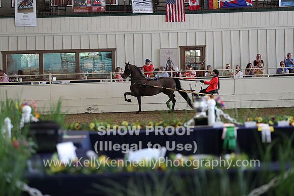 CA_Springfest19_FriPM_0314