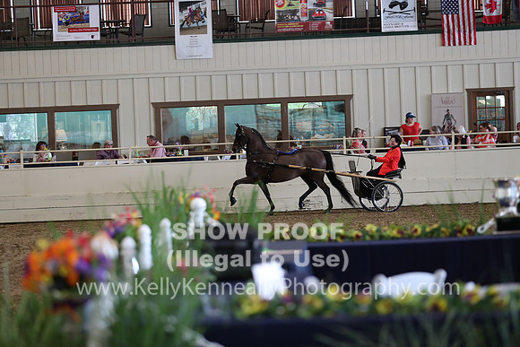 CA_Springfest19_FriPM_0315