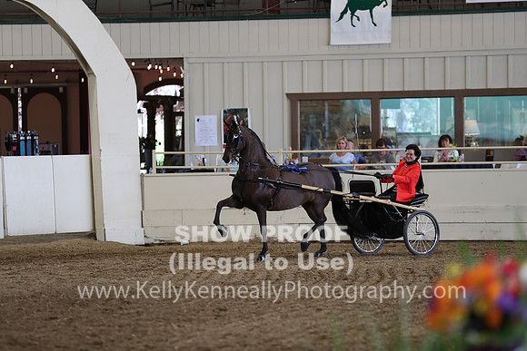 CA_Springfest19_FriPM_0317
