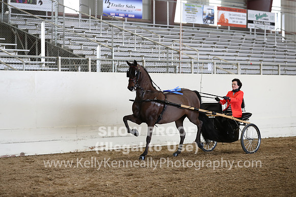 CA_Springfest19_FriPM_0324
