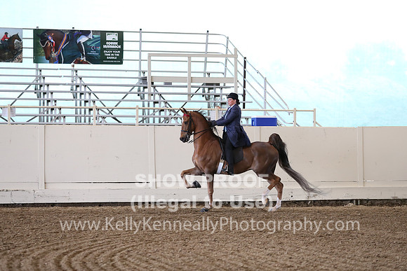 CA_Springfest19_FriPM_0330