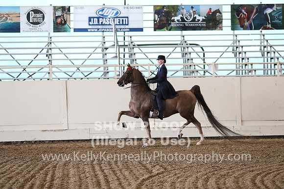 CA_Springfest19_FriPM_0337