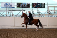 CA_Springfest19_FriPM_0476