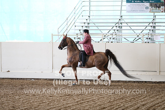 CA_Springfest19_FriPM_0342