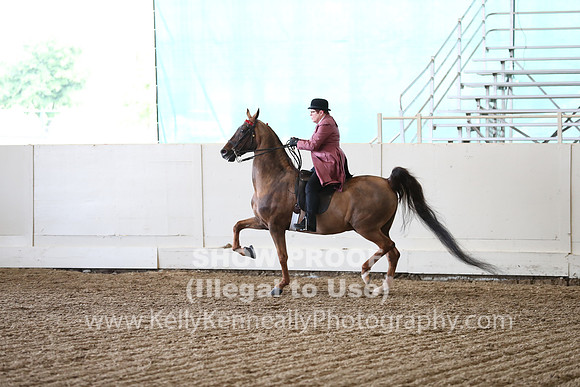 CA_Springfest19_FriPM_0343
