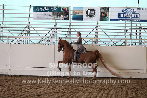 CA_Springfest19_FriPM_0480