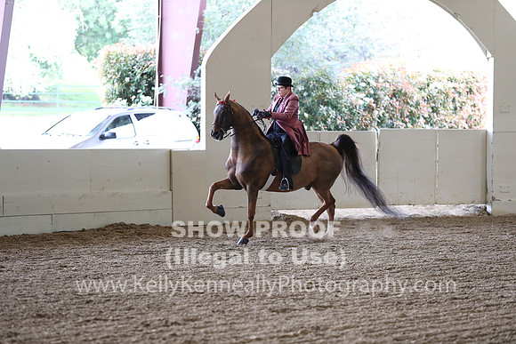 CA_Springfest19_FriPM_0344