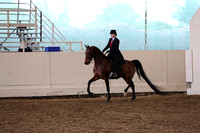 Class 46 English Pleasure Saddle Seat  Open