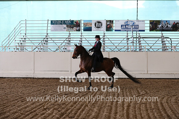 CA_Springfest19_FriPM_0636